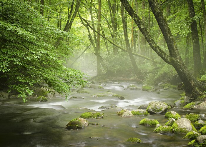 River Greeting Card featuring the photograph Great Smoky Mountains NC Misty Mountain Flow by Robert Stephens