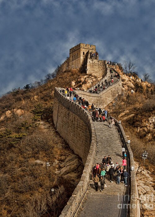 Great Wall Greeting Card featuring the photograph Great Wall o China by Shirley Mangini