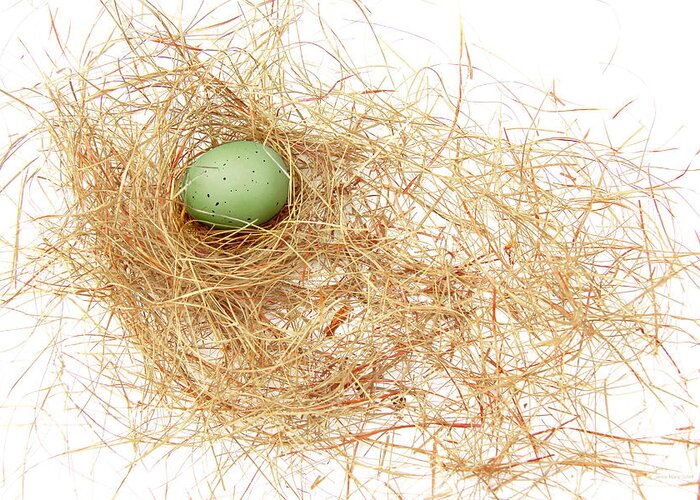 Bird Nest Greeting Card featuring the photograph Green Egg in a Bird Nest by Jennie Marie Schell