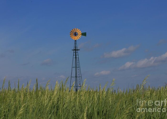 Sky Greeting Card featuring the photograph Green Wheat Field with Green and Yellow Windmill by Robert D Brozek