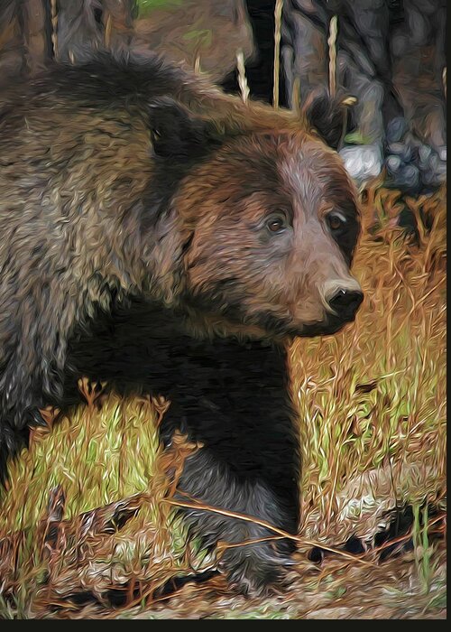 Bear Greeting Card featuring the photograph Grizzly Portrait by Clare VanderVeen