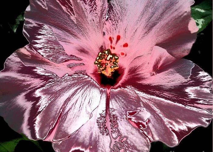 Hibiscus Greeting Card featuring the photograph Groovy Hibiscus by Jeanne Forsythe