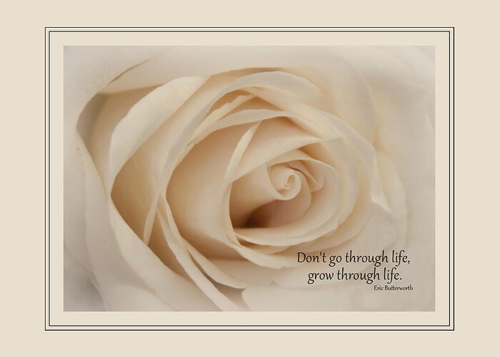 Flower Greeting Card featuring the photograph Grow Through Life by Cindy Haggerty