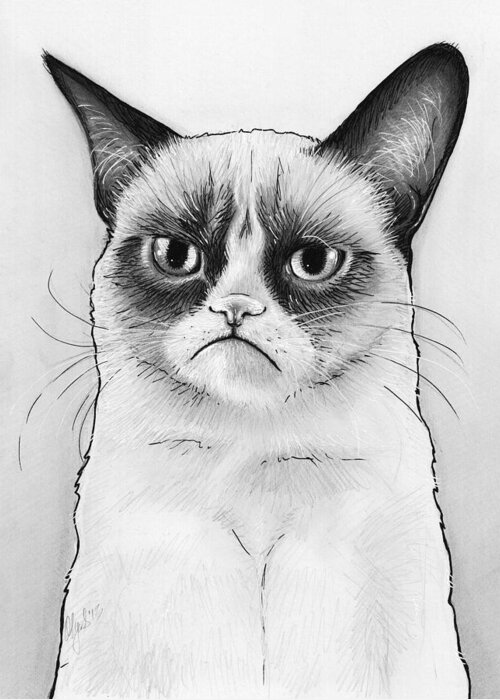 Grumpy Cat Greeting Card featuring the drawing Grumpy Cat Portrait by Olga Shvartsur