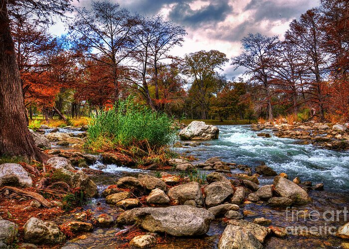 Guadalupe River Greeting Card featuring the photograph Guadalupe in the Fall by Savannah Gibbs