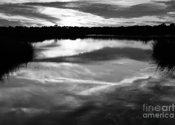 Landscapes Greeting Card featuring the photograph Reflections South Ponte Vedra Beach by John F Tsumas