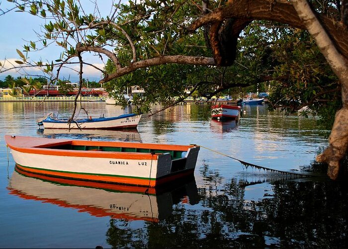 Boat Greeting Card featuring the photograph Guanica Bay 1 by Ricardo J Ruiz de Porras