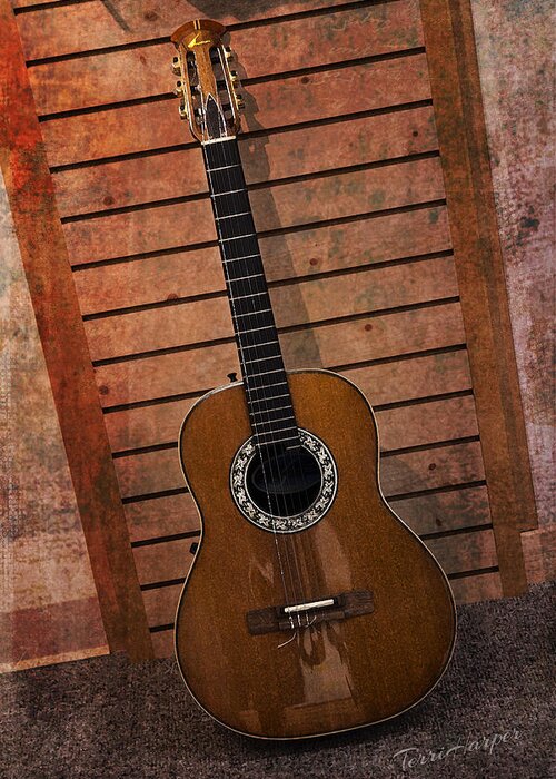 Guitar Greeting Card featuring the photograph Guitar Solo by Terri Harper