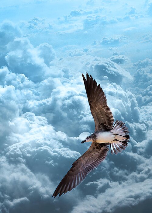 Bird Greeting Card featuring the photograph Gull on Teal Clouds by Bill and Linda Tiepelman