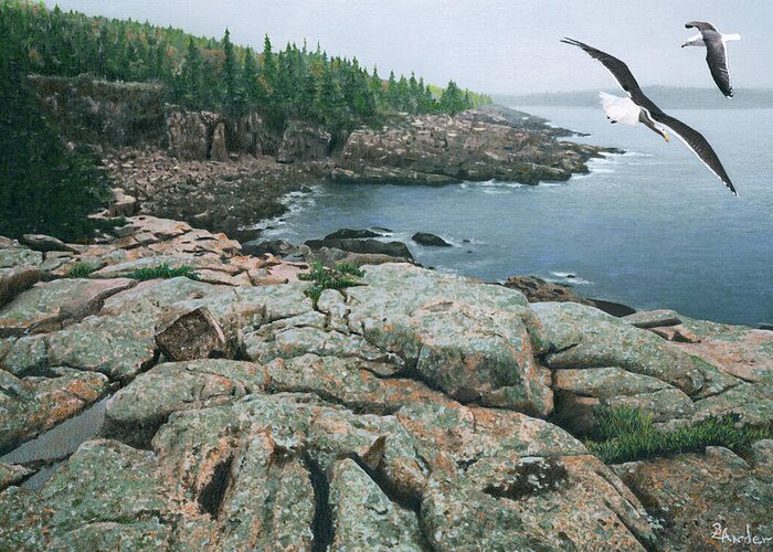 Monument Cove Greeting Card featuring the drawing Gulls at Monument Cove by Brent Ander