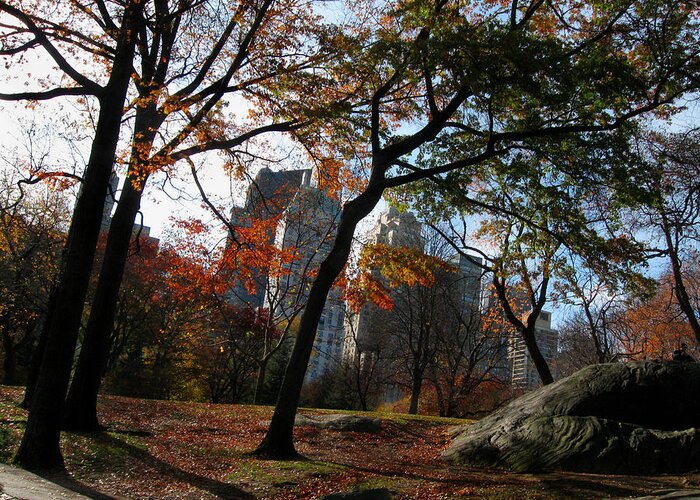 Ny Greeting Card featuring the photograph Guy On a Rock in Central Park by Daniel Schubarth