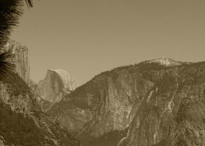 Yosemite National Park Greeting Card featuring the photograph Half Dome in Distance sepia by Mini Arora