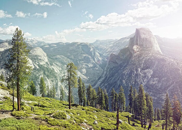Scenics Greeting Card featuring the photograph Half Dome In Yosemite With Foreground by James O'neil