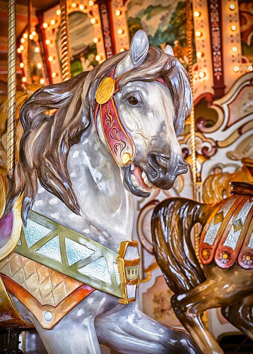 Antique Greeting Card featuring the photograph Hampton Carousel Horse by Jeff Abrahamson