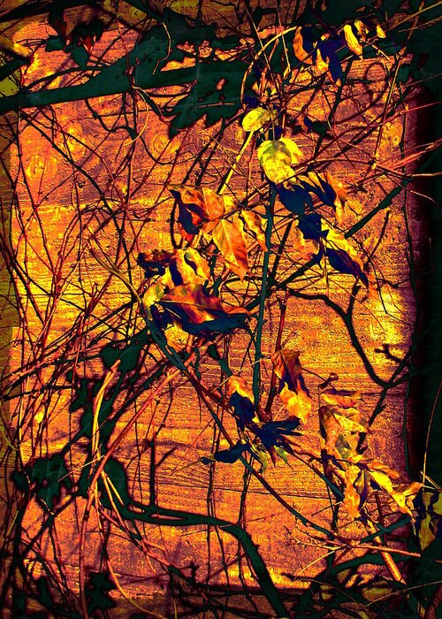 Leaves Greeting Card featuring the digital art Hang In There by Tim Allen