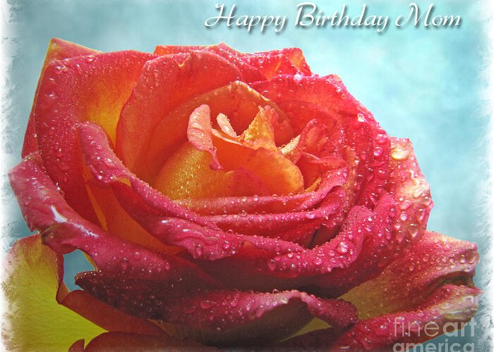 Dew Greeting Card featuring the photograph Happy Birthday Mom Rose by Debbie Portwood