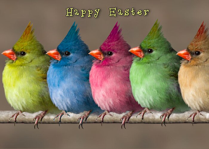 Easter Greeting Card featuring the photograph Happy Easter by John Haldane
