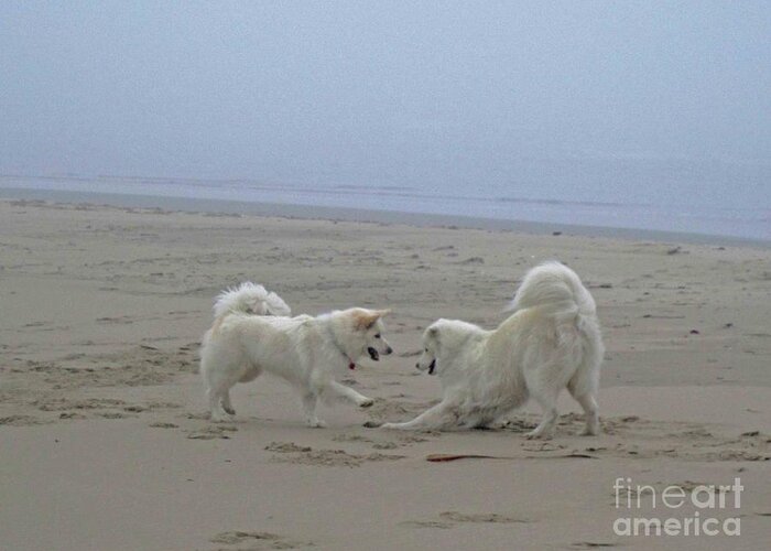 Samoyed Greeting Card featuring the photograph Happy Girls Beach Side by Fiona Kennard