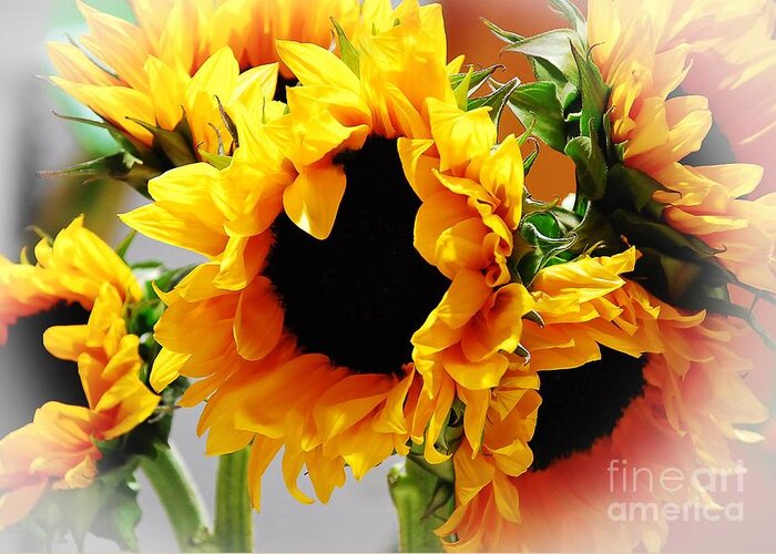 Sunflowers Greeting Card featuring the photograph HaPPY SuNFLoweRS by Angela J Wright