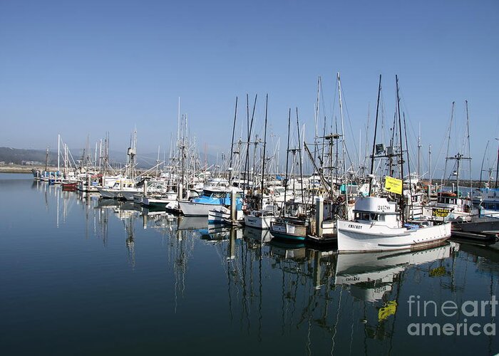 Harbor Greeting Card featuring the photograph Harbor At Half Moon Bay by Christiane Schulze Art And Photography