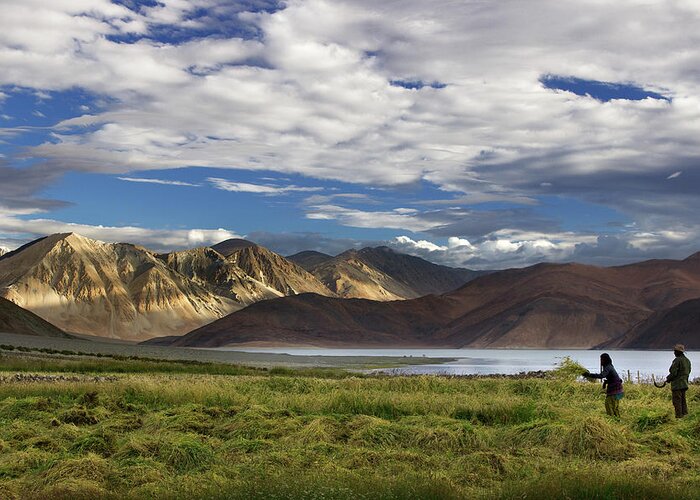 Scenics Greeting Card featuring the photograph Harvesting By The Side Of Pangong Lake by Photograph By Nilanjan Sasmal