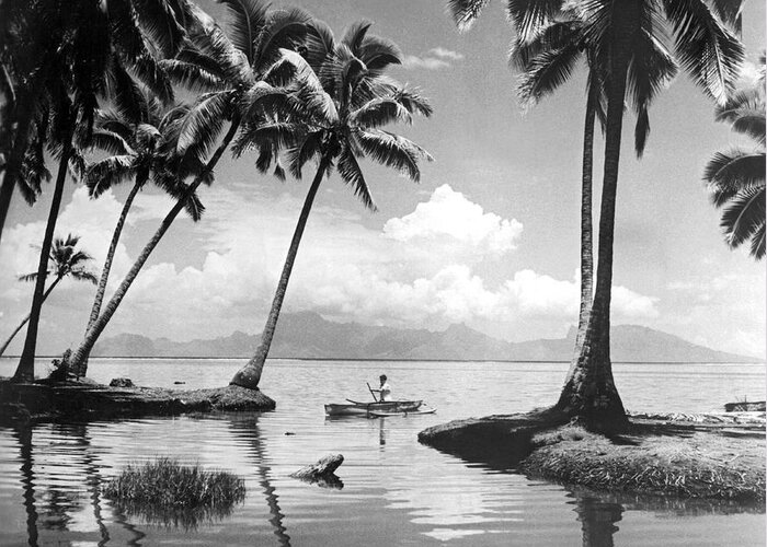 1940 Greeting Card featuring the photograph Hawaii Tropical Scene by Underwood Archives