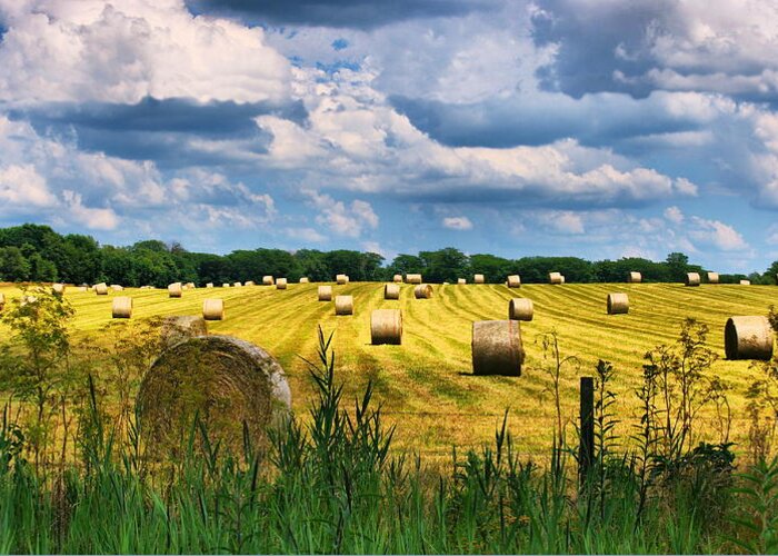 Landscape Greeting Card featuring the photograph Hay Bales by Virginia Folkman