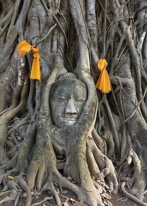 Thai Greeting Card featuring the photograph Head of The Sand Stone Buddha Image by Tosporn Preede