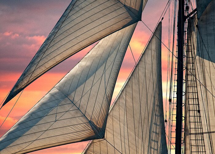 Sails Greeting Card featuring the photograph Headsails by Fred LeBlanc
