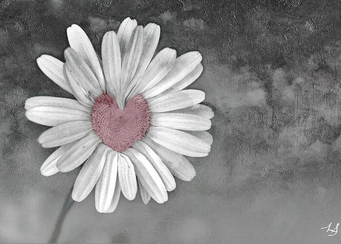 Heart Of A Daisy Greeting Card featuring the photograph Heart Of A Daisy by Linda Sannuti
