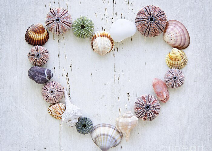 Heart Greeting Card featuring the photograph Heart of seashells and rocks by Elena Elisseeva