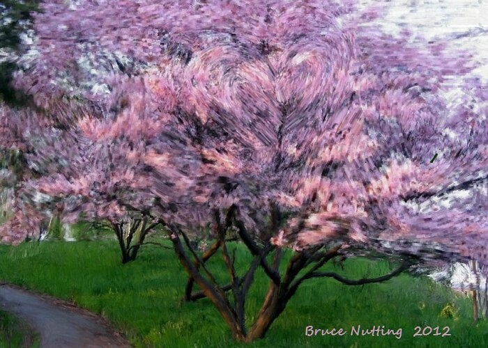 Tree Greeting Card featuring the painting Heartfelt Cherry Blossoms by Bruce Nutting