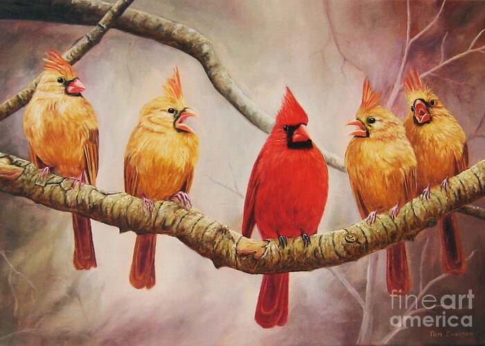 Cardinals Greeting Card featuring the painting Heat in the Harem by Tom Chapman