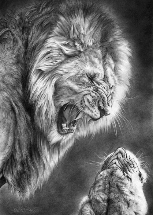 Lion Greeting Card featuring the drawing Heat Of The Night by Peter Williams