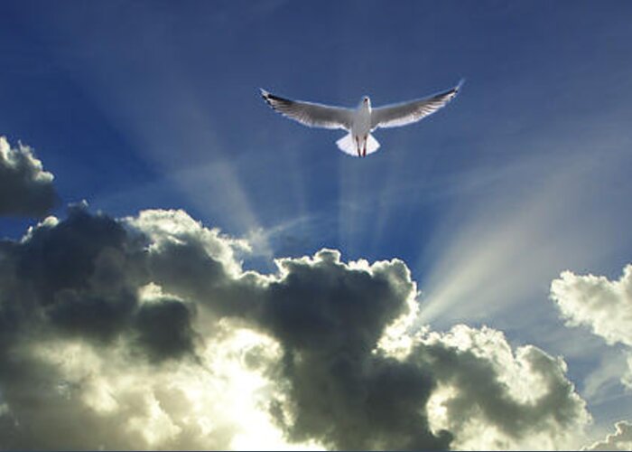 White Cloud Greeting Card featuring the photograph Heavenly Angel Rays - Cloudscape by Geoff Childs