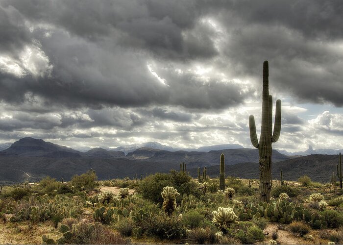 Arizona Greeting Card featuring the photograph Heavenly Desert Skies by Saija Lehtonen