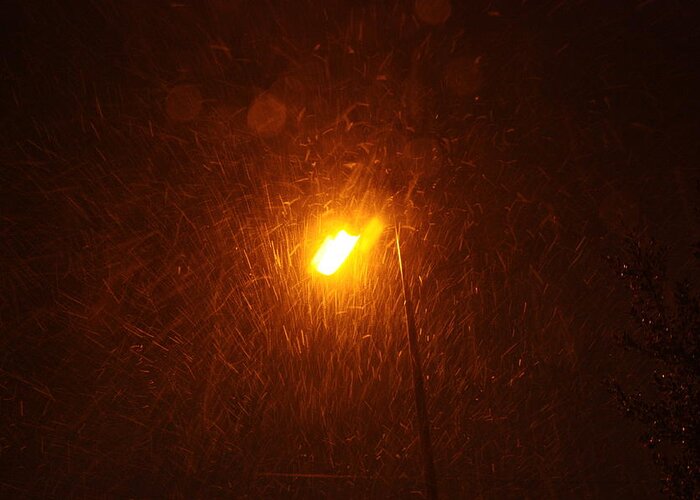 Snow Storm Greeting Card featuring the photograph Heavy Snows by Lamplight by Jean Walker