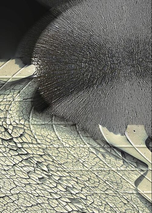 Abstract-hedgehog Greeting Card featuring the photograph Hedgehog by Steve Godleski