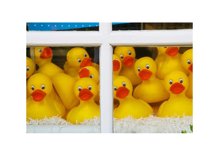 Rubber Duck Greeting Card featuring the photograph Help We're Trapped in a Window Display and Can't Get Out by Allen Beatty