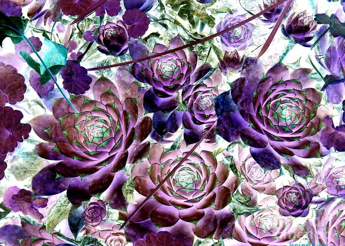 Hens And Chicks Greeting Card featuring the photograph Hens and Chicks - Botanical - Indigo Blue and Purple by Janine Riley