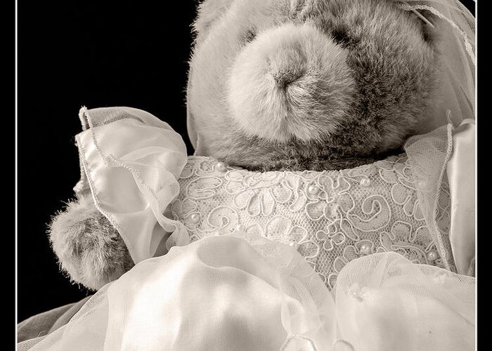 Teddy Bear Greeting Card featuring the photograph Here Comes the Bride by Edward Fielding