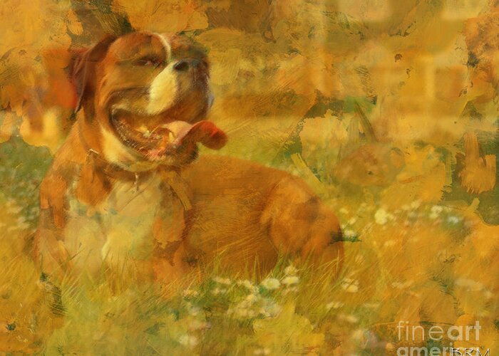Dog Greeting Card featuring the photograph Here Doggie by Barbara R MacPhail