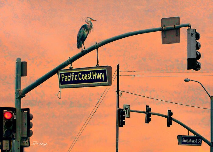 Great Blue Heron Greeting Card featuring the photograph Heron on PCH by Jennie Breeze