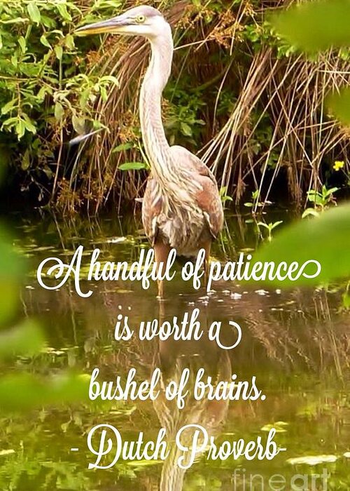  Heron Greeting Card featuring the photograph Heron With Quote Photograph by Susan Garren
