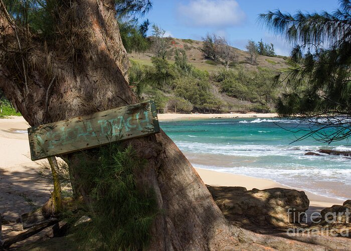 Kauai Greeting Card featuring the photograph Hidden Gem by Suzanne Luft