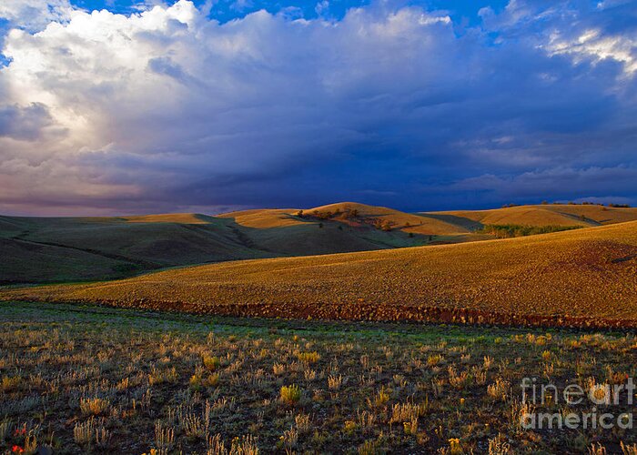 Colorado Greeting Card featuring the photograph High Plains Drama by Barbara Schultheis