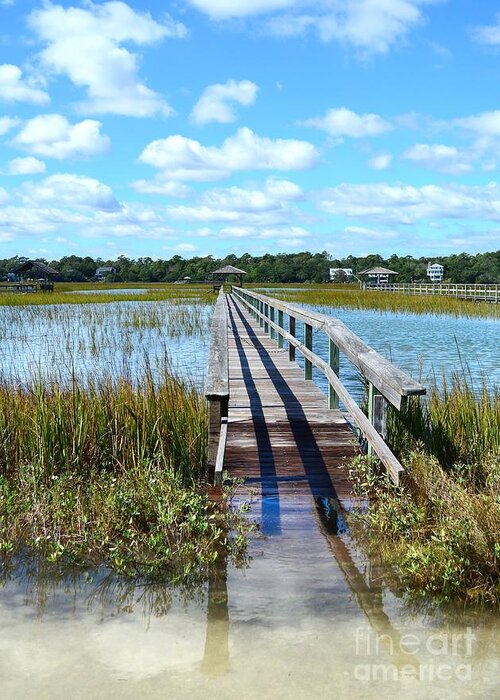 Scenic Greeting Card featuring the photograph High Tide At Pawleys Island by Kathy Baccari