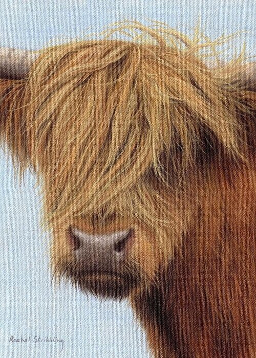 Highland Cow Greeting Card featuring the painting Highland Cow Painting by Rachel Stribbling