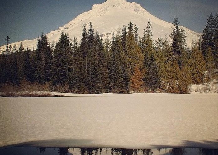  Greeting Card featuring the photograph Hiked Up To Mirror Lake At Mt. Hood by Mike Warner