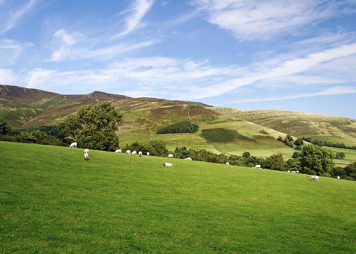 Bright Greeting Card featuring the photograph Hill Range North of Edale by Rod Johnson